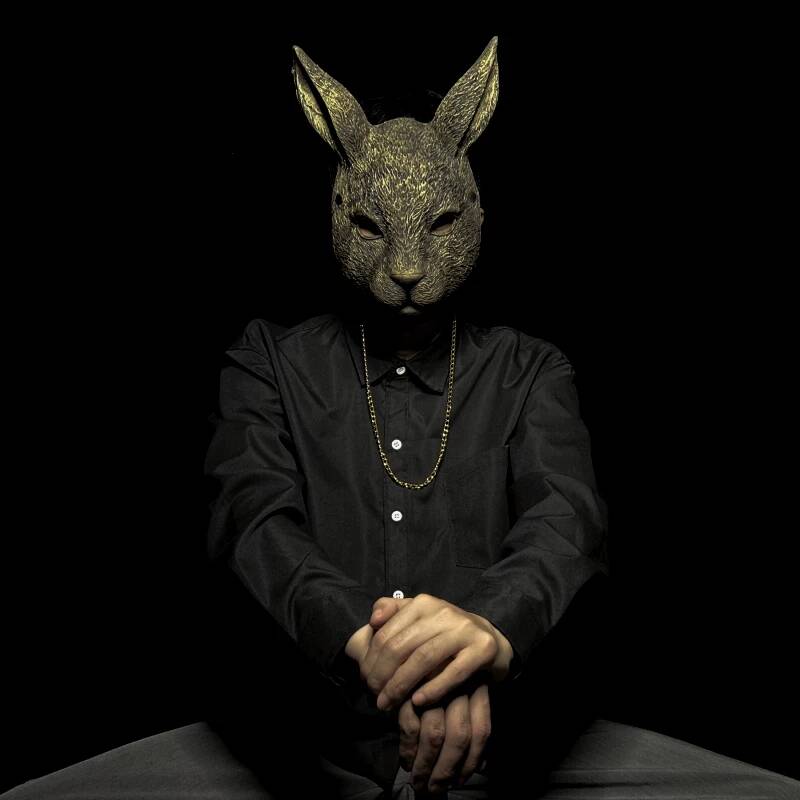 Rabbit Mask Full Face Children - огляд і ціна Kids Face Mask