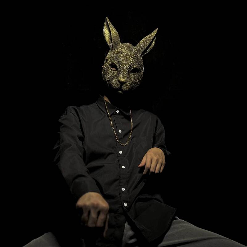 Rabbit Mask Full Face Children - огляд і ціна Kids Face Mask